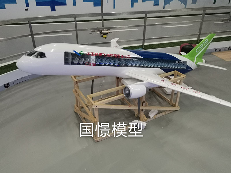 嘉善县飞机模型